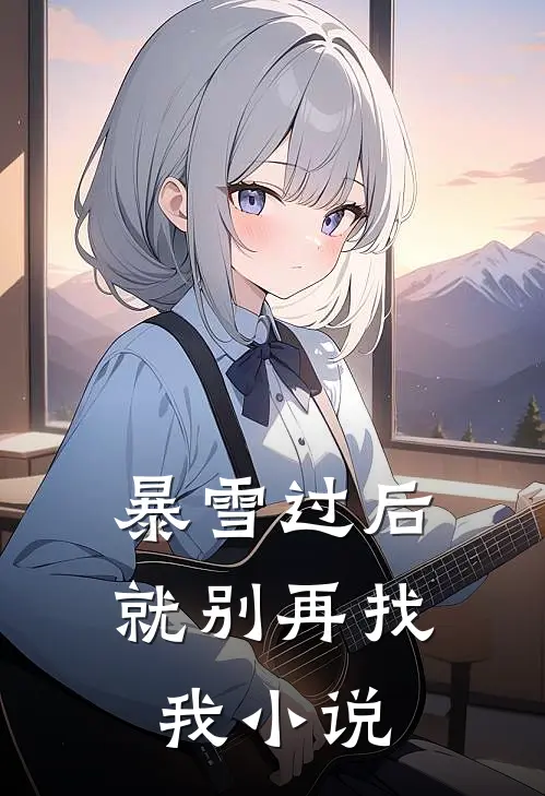 暴雪过后，就别再找我小说