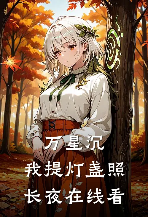 万星沉，我提灯盏照长夜在线看
