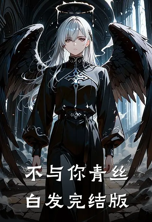 不与你青丝白发完结版