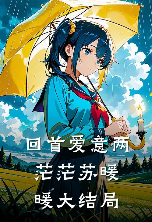 回首爱意两茫茫苏暖暖大结局