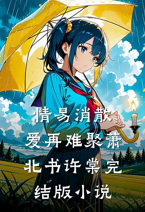 情易消散，爱再难聚萧北书许棠完结版小说
