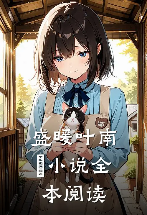 盛暖叶南烆小说全本阅读