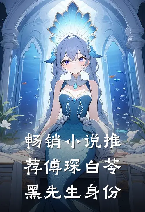 畅销小说推荐傅琛白苓黑先生身份