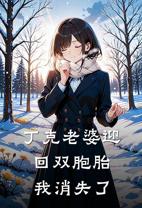 丁克老婆迎回双胞胎，我消失了