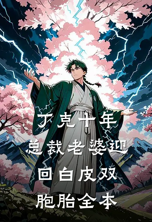 丁克十年，总裁老婆迎回白皮双胞胎全本
