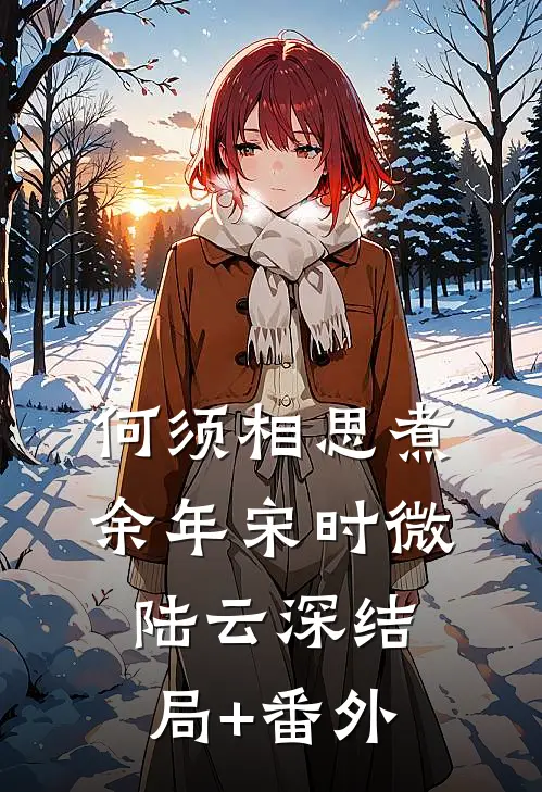 何须相思煮余年宋时微陆云深结局+番外