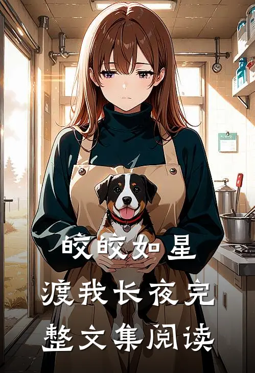 皎皎如星，渡我长夜完整文集阅读