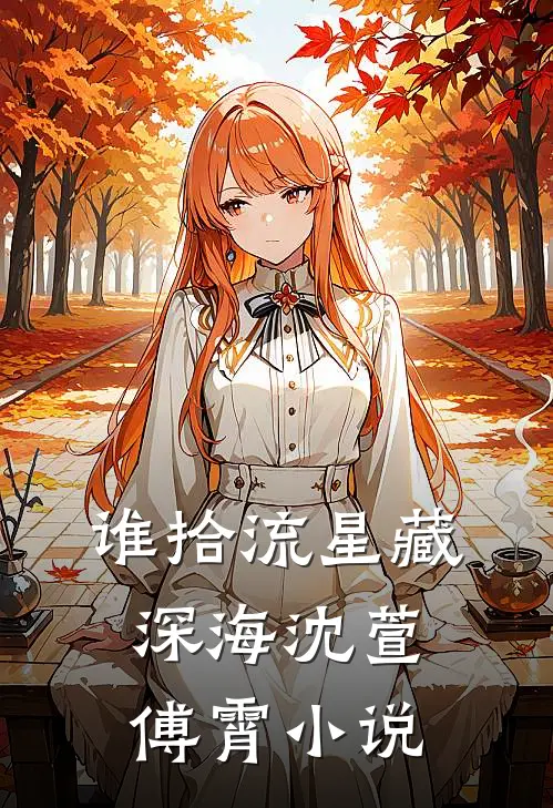 谁拾流星藏深海沈萱傅霄小说