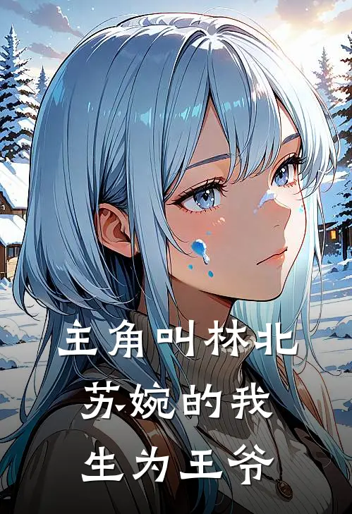 主角叫林北苏婉的我生为王爷