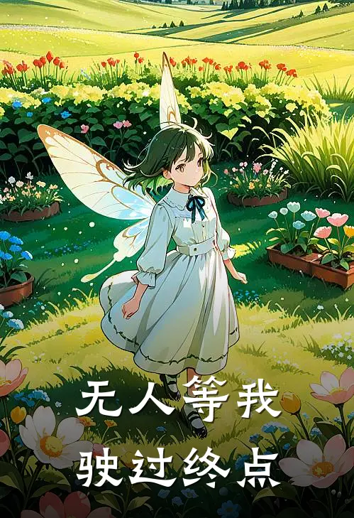 无人等我驶过终点