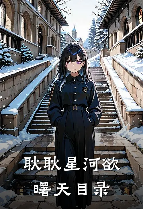 耿耿星河欲曙天目录