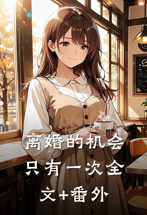 离婚的机会只有一次全文+番外