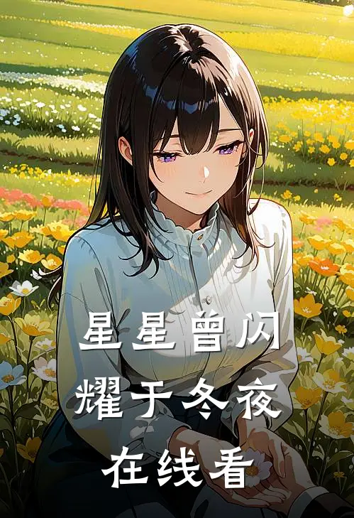 星星曾闪耀于冬夜在线看