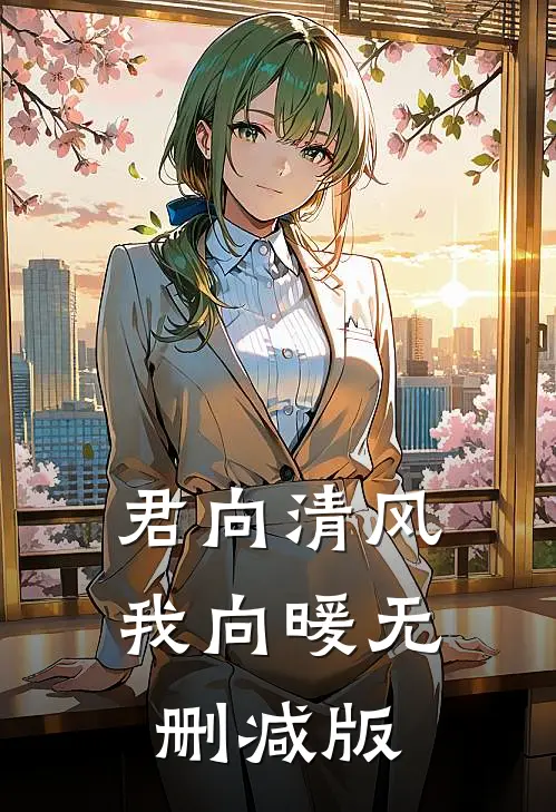君向清风我向暖无删减版