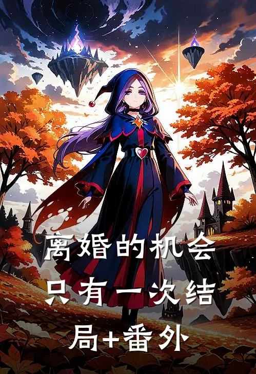 离婚的机会只有一次结局+番外