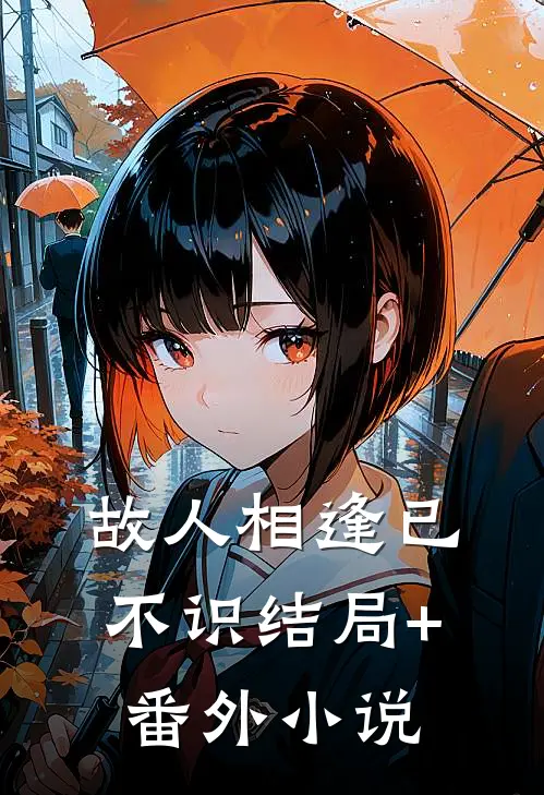 故人相逢已不识结局+番外小说