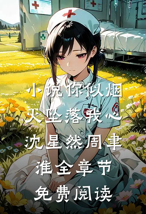 小说你似烟火坠落我心沈星然周聿淮全章节免费阅读