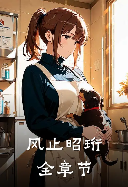 风止昭珩全章节