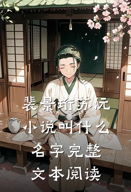 裴景珩苏沅小说叫什么名字完整文本阅读