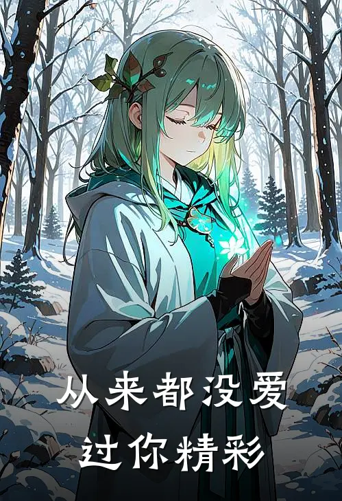 从来都没爱过你精彩