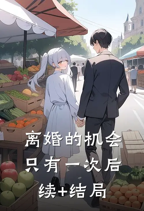 离婚的机会只有一次后续+结局