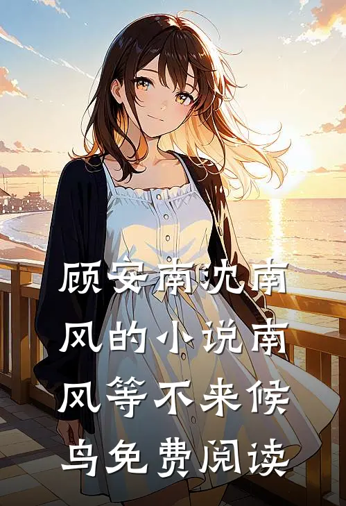 顾安南沈南风的小说南风等不来候鸟免费阅读