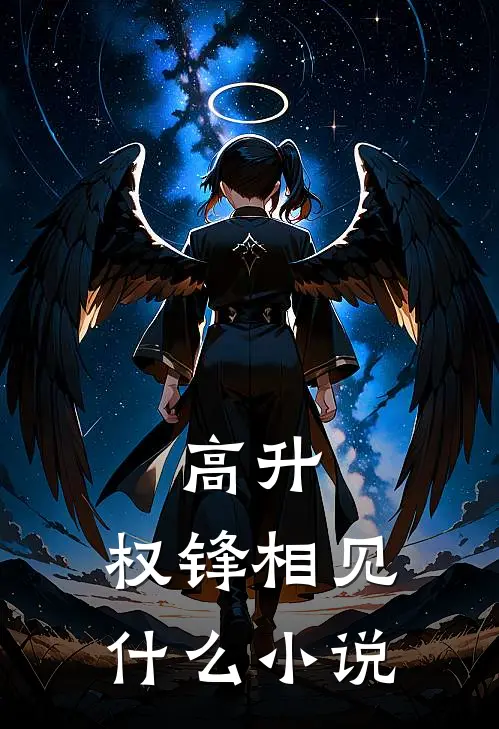 高升：权锋相见什么小说