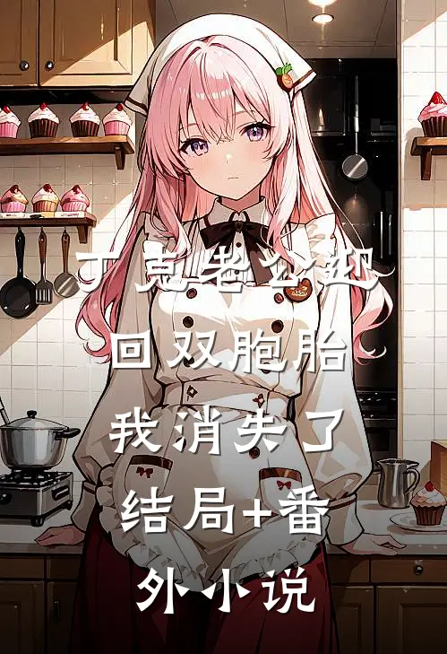 丁克老公迎回双胞胎，我消失了结局+番外小说