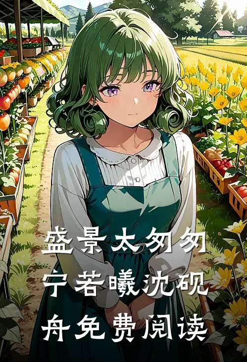 盛景太匆匆宁若曦沈砚舟免费阅读