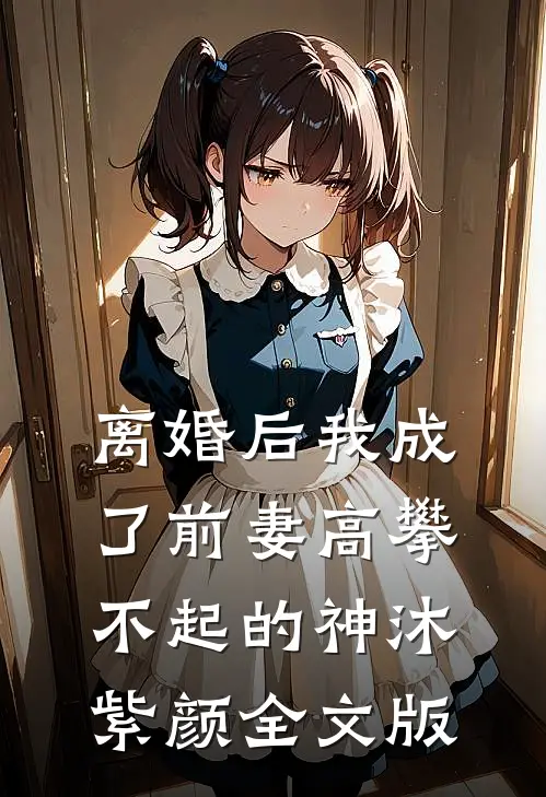 离婚后我成了前妻高攀不起的神沐紫颜全文版