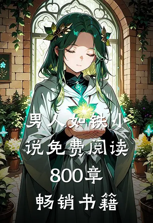 男人如铁小说免费阅读800章畅销书籍