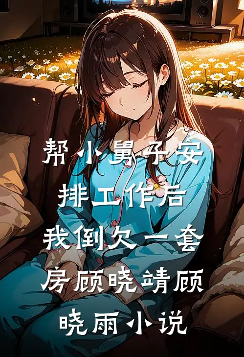 帮小舅子安排工作后，我倒欠一套房顾晓靖顾晓雨小说