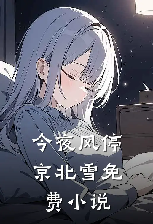 今夜风停京北雪免费小说