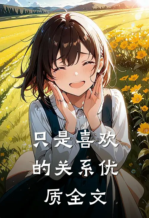只是喜欢的关系优质全文